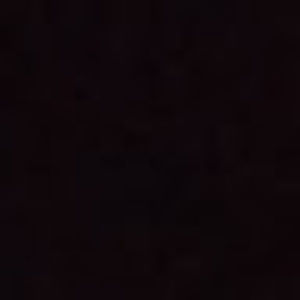 Meet your Posher, Ellie